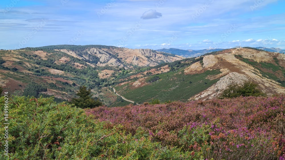 Fototapeta premium Les monts de l'Espinouse et la réserve nationale de chasse Caroux-Espinouse vus depuis le plateau du Caroux (parc naturel régional du Haut-Languedoc)