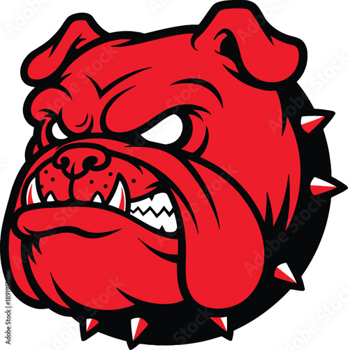 Fierce red bulldog mascot head vector illustration with aggressive expression wearing a black spiked collar isolated on white background for sports logo.