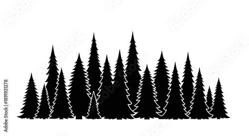 Black Silhouette of Evergreen Pine Trees Forest Landscape.
