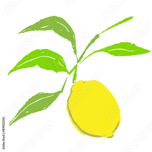 Lemon Fruit on Branch with Leaves Vector