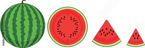 Watermelon Vector Illustration Set, Whole, Half, and Sliced Pieces, Summer Fruit, Fresh, Sweet, Juicy, Ripe, Isolated on White.