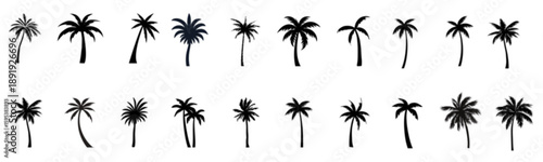 Collection of twenty palm trees in various silhouettes and orientations on a plain background, vector illustration