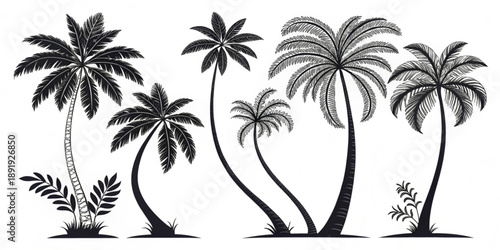 Collection of various palm trees and tropical foliage in black and white illustration, viewed from the side, in a serene environment.