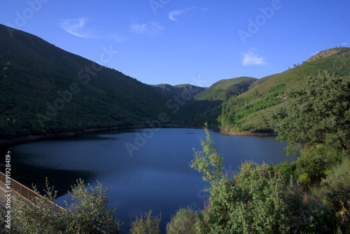 Mountain lake in green valley