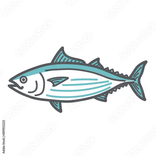 鰹（カツオ）のイラスト（タンパク質食材/魚）