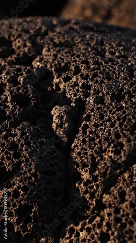 Abstract Textural Play Dynamic close-up, emphasizing light and shadow shifts.