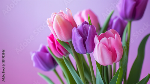 Kartka z życzeniami na międzynarodowy dzień kobiet. Kobieta i tulipany. © Paweł Ziółkowski