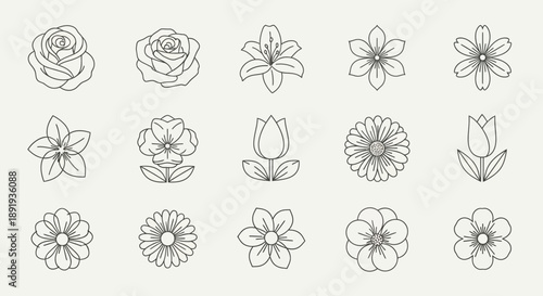 Variety of floral illustrations in minimalist style perfect for elegant decorative elements