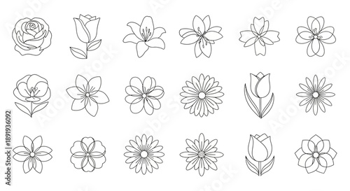 Botanical sketchbook: Hand-drawn floral assortment for creative designs and artistic projects