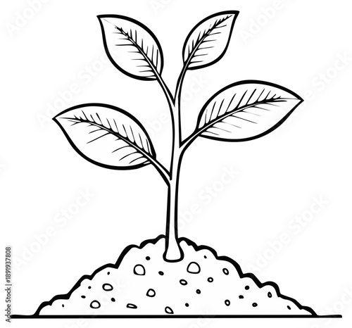 Young plant seedling growing from soil mound outline drawing new life illustration growth