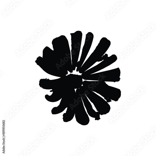 Silhouette of flower head top view