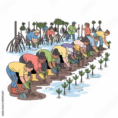 Diverse Volunteers Planting Mangrove Seedlings in Wetlands for Reforestation - Vector Illustration