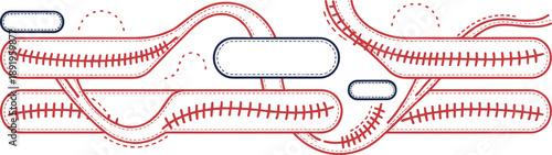 Abstract baseball stitch banner vector with wavy seam lines, rounded labels and modern sport design