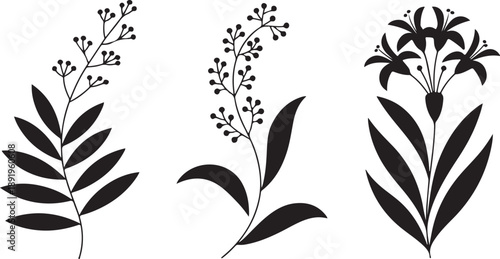 Three stylized black silhouettes of various botanical branches and lily flower with stems