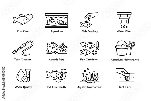 Aquatic care essentials: aquarium, fish feeding, water quality, pet fish health, tank maintenance
