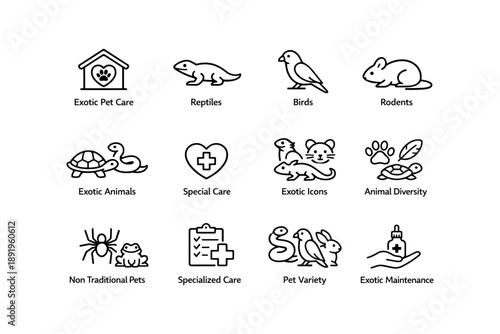 Exotic pet icons: reptiles, birds, rodents, and specialized care symbols