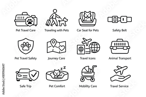 Pet travel essentials: safety, comfort, and convenience for pets on the go