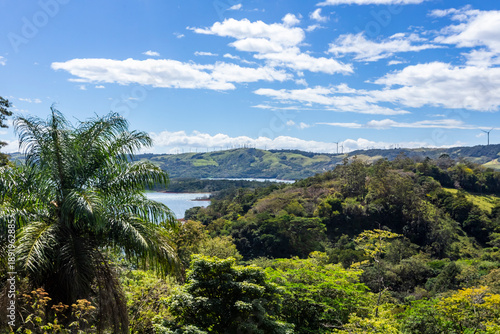 Rainforest on the Lake Arenal coast, Costa Rica