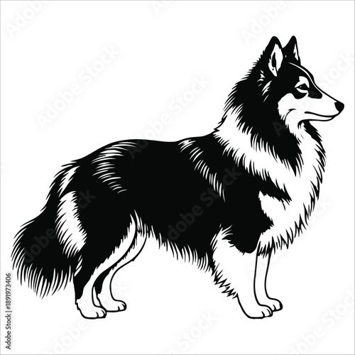 A striking black and white illustration depicts the side profile of a majestic husky dog