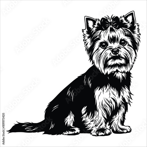 A charming yorkshire terrier portrait with a decorative bow sits attentively for the viewer