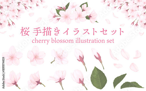 桜_手描きイラストセット