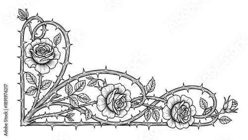 Intricate Thorny Rose Vine Corner Design, Black and White Floral Border Illustration