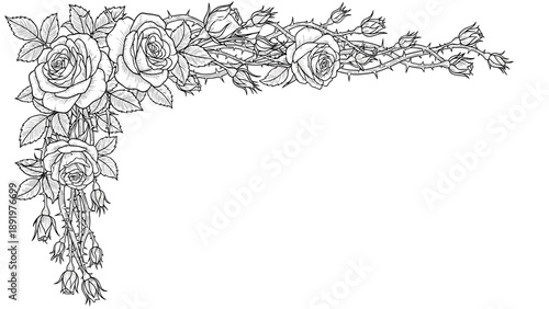 Elegant Rose Corner Floral Border Line Art. Detailed Decorative Design with Leaves and Thorns. Outline Illustration.