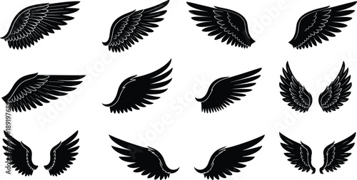 Collection of various black wing designs isolated on a plain background from different viewpoints