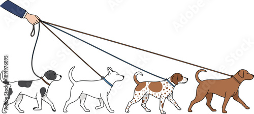 Dog walking illustration with four dogs on leashes, pet care activity, dog walker graphic, animal training, outdoor walking scene artwork