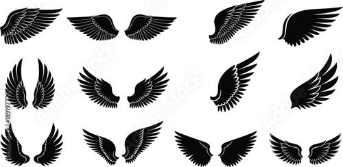Collection of various black wing illustrations in different styles and orientations on a clean background