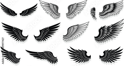 Various black and white illustrations of bird wings in different styles and positions displayed together
