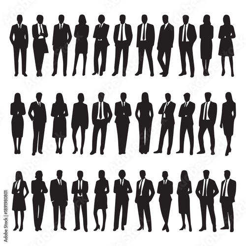 Business people , silhouettes, group of standing business men and businesswomen	
