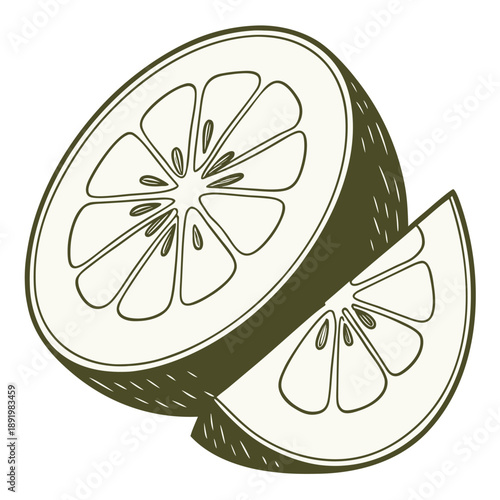 A stylized illustration of a halved citrus fruit with a slice next to it.