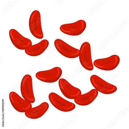 Red Blood Cells Illustration