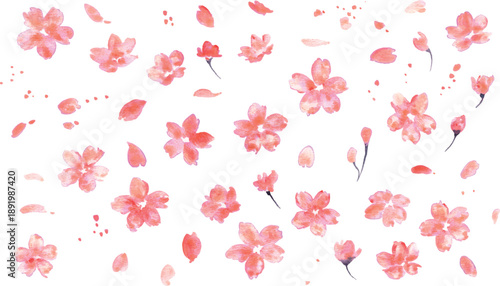 桜イラスト。水彩画で描いた桜の春背景。桜のベクターイラスト。春の桜フレーム。
Cherry blossom illustration. Spring background with watercolor cherry blossoms. Cherry blossom vector illustration. Spring cherry blossom frame.