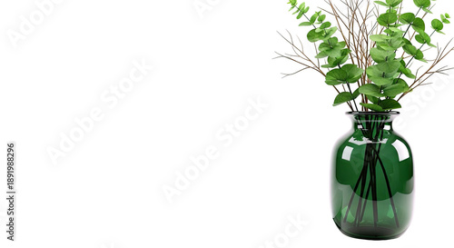 Green glass vase with eucalyptus branches