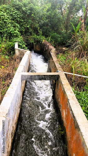 Irrigation water for rice fields flowing in a river whose walls are made of cement