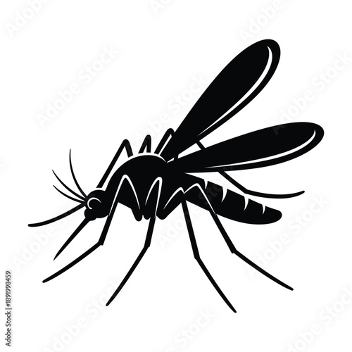 A black and white illustration of a mosquito insect