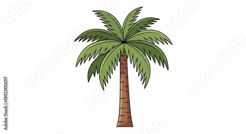 Simple cartoon palm tree illustration. Tropical plant with green fronds and brown trunk on a white background. Vector graphic.