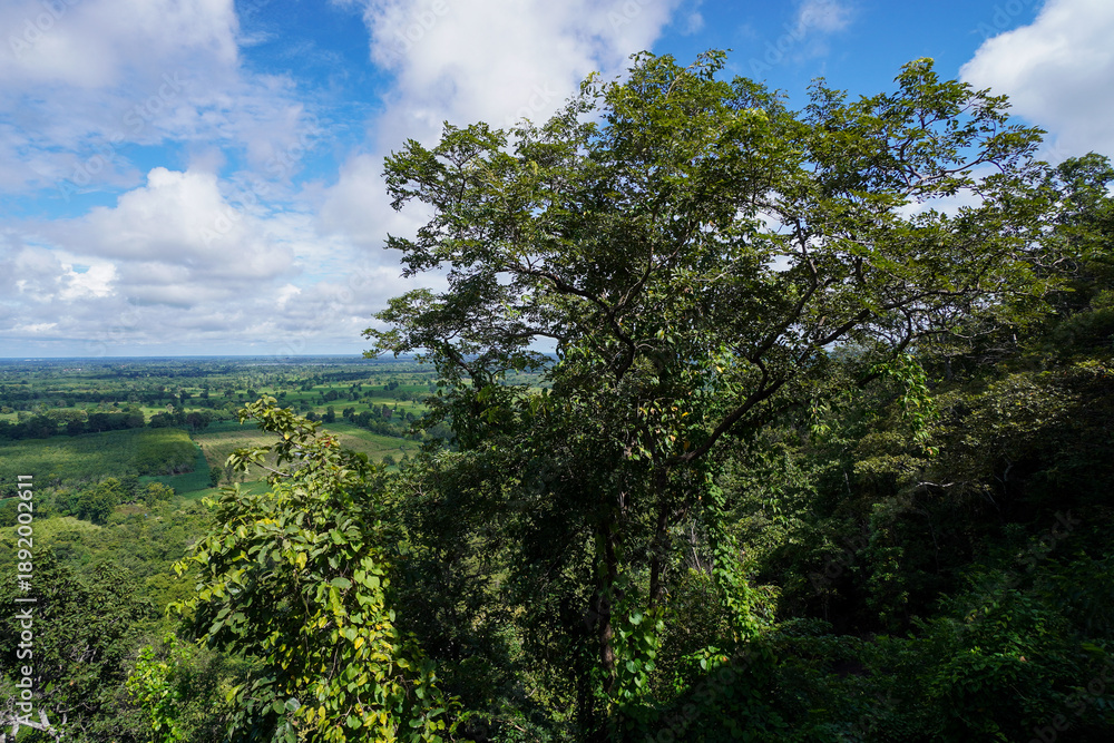 Obraz premium Native unspoiled landscape showing native trees surviving in agricultural dominated landscape environmental issues viewed from mountain top