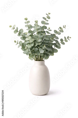 Wallpaper Mural Eucalyptus Branches in Minimalist Vase Isolated on White Torontodigital.ca