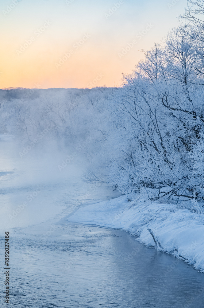 Fototapeta premium Frost-covered Trees and River Fog at Otowa Bridge in Tsurui Village, Winter Morning, Hokkaido, Japan