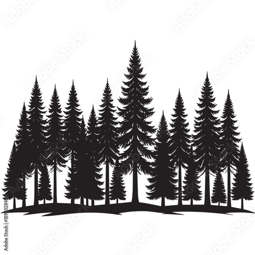 Black silhouette of a group of pine trees