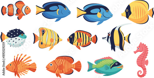 Colorful tropical fish and sea animals vector illustration set with marine aquarium species isolated on white
