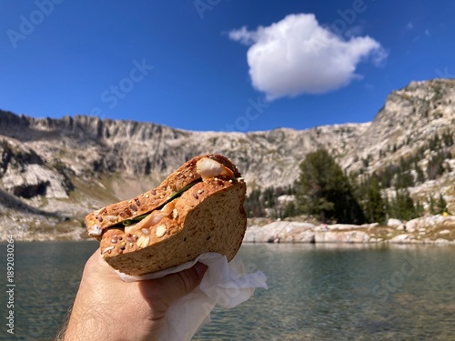 Hand Holding a Sandwich in the Mountains