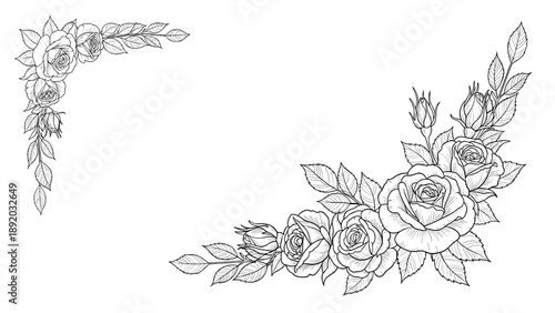 Elegant Rose Floral Corner Design Elements. Hand-drawn Outline Illustration for Borders, Frames & Decorative Accents.