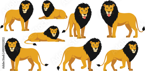 African Lion Vector Illustration Set Showing Multiple Poses and Angles for Wildlife Education, Safari Themes, Animal Characters, and Creative Design Projects