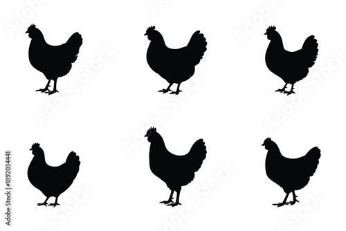 Black silhouette of a rooster facing left on transparent background
