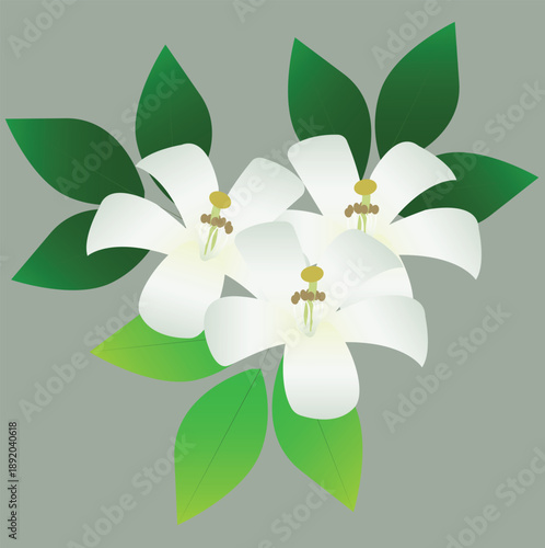 This elegant floral artwork is ideal for nature-themed designs, wellness concepts, and Asian botanical backgrounds.