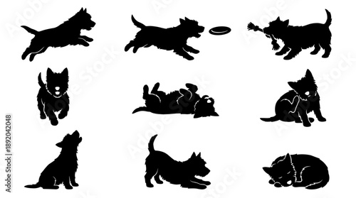 Active Westie dog silhouette vector collection featuring jumping running playing frisbee and sleeping poses isolated on white background